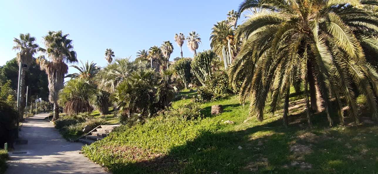 Jardins de Mossèn Costa i Llobera