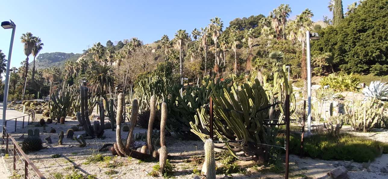 Jardins de Mossèn Costa i Llobera