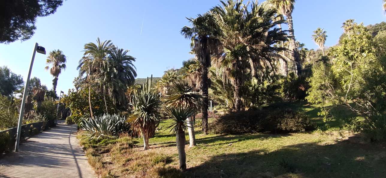 Jardins de Mossèn Costa i Llobera