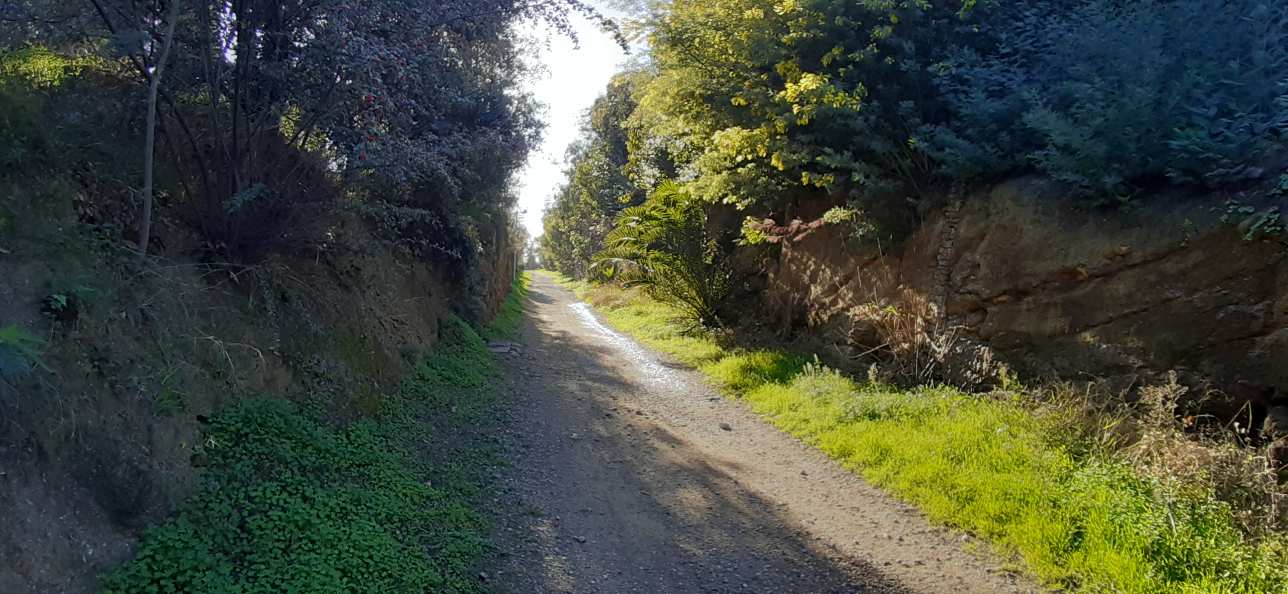 cyclable Train des Pignes