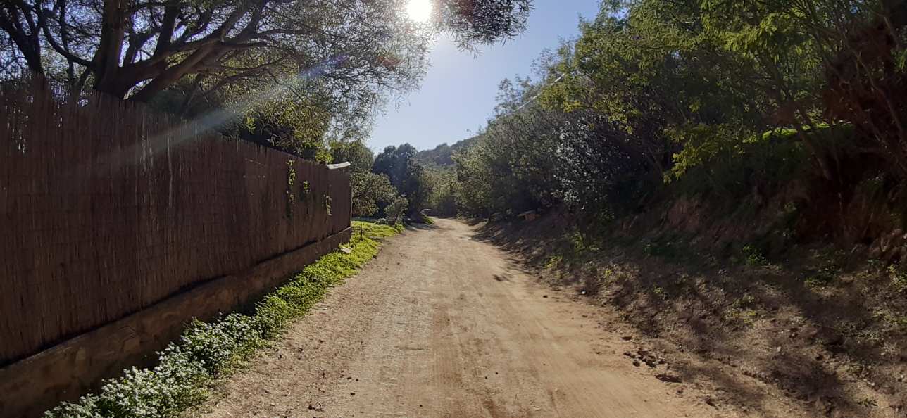 cyclable Train des Pignes