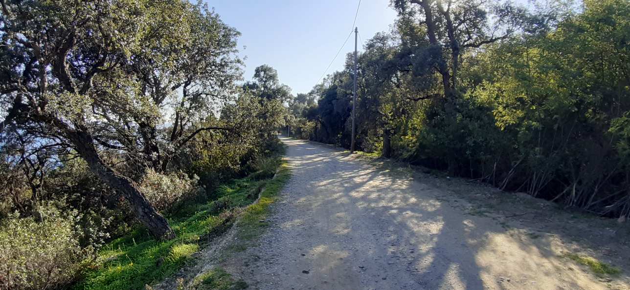 cyclable Train des Pignes