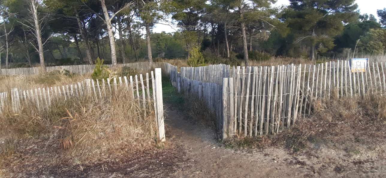 Les Vieux Salins D'Hyères