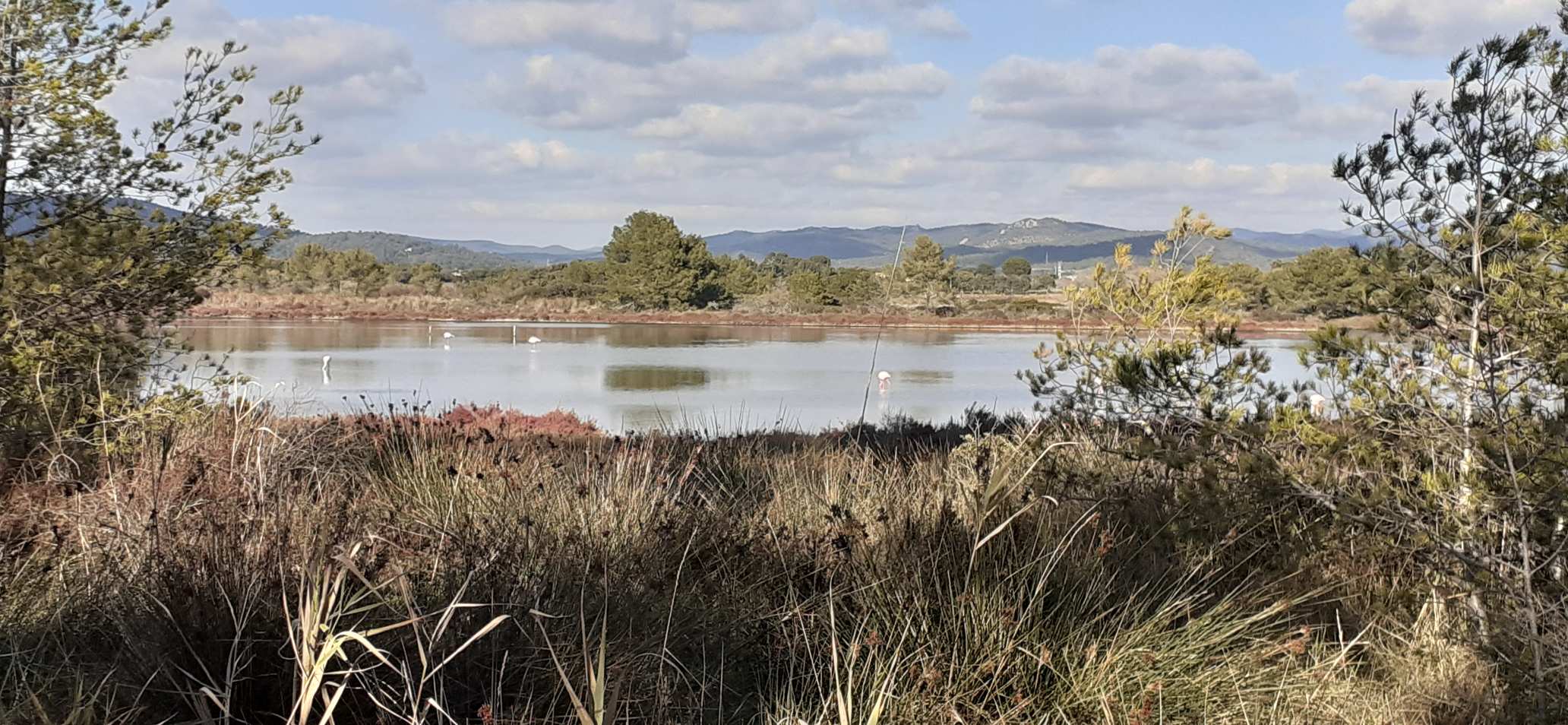 Les Vieux Salins D'Hyères