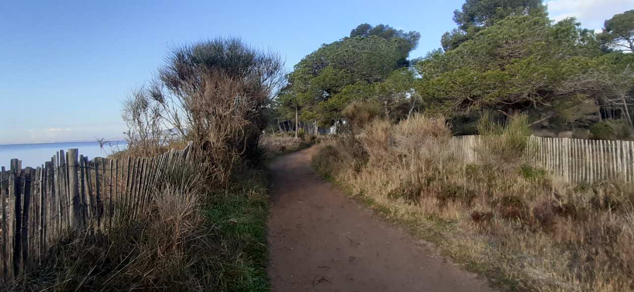 Les Vieux Salins D'Hyères