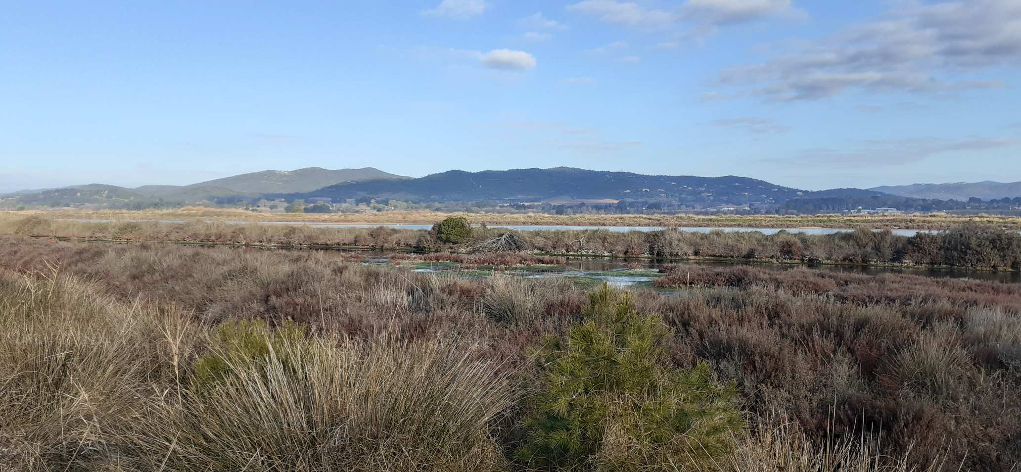 Les Vieux Salins D'Hyères