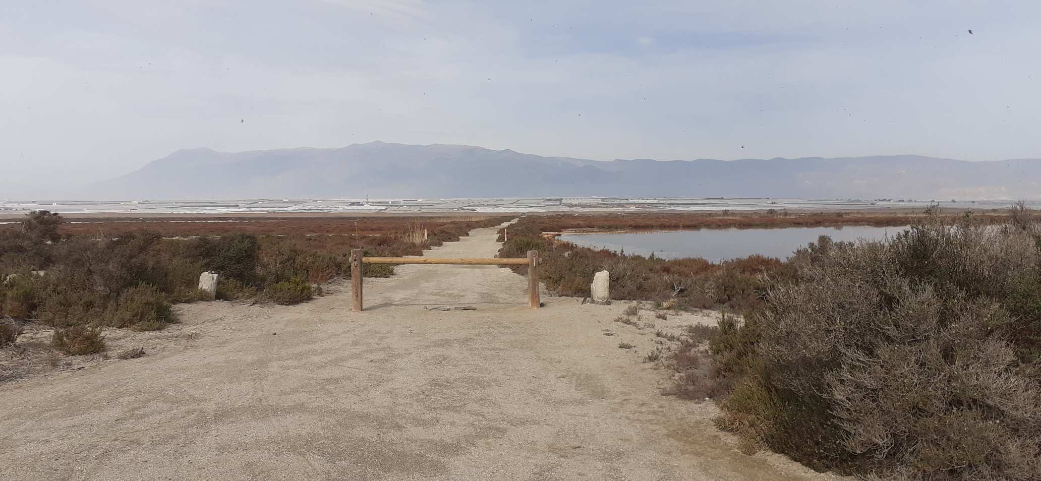 Punta Entinas-Sabinar