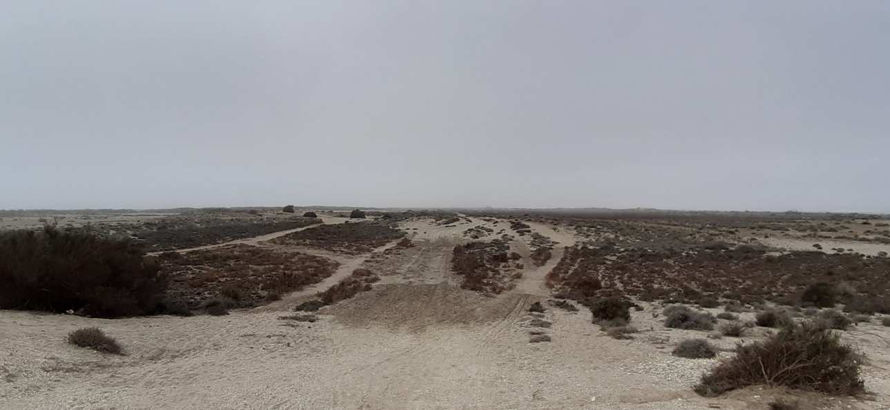 Punta Entinas-Sabinar