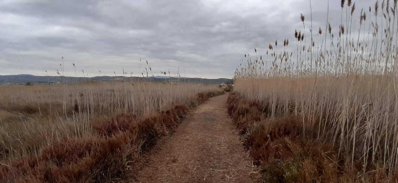 Prat de Cabanes Torreblanca