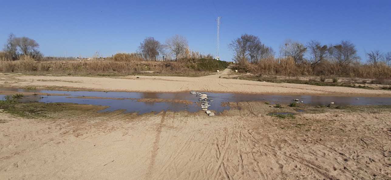 Delta de la Tordera