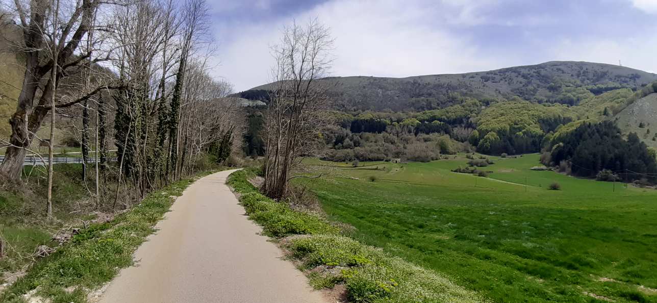Campotenese