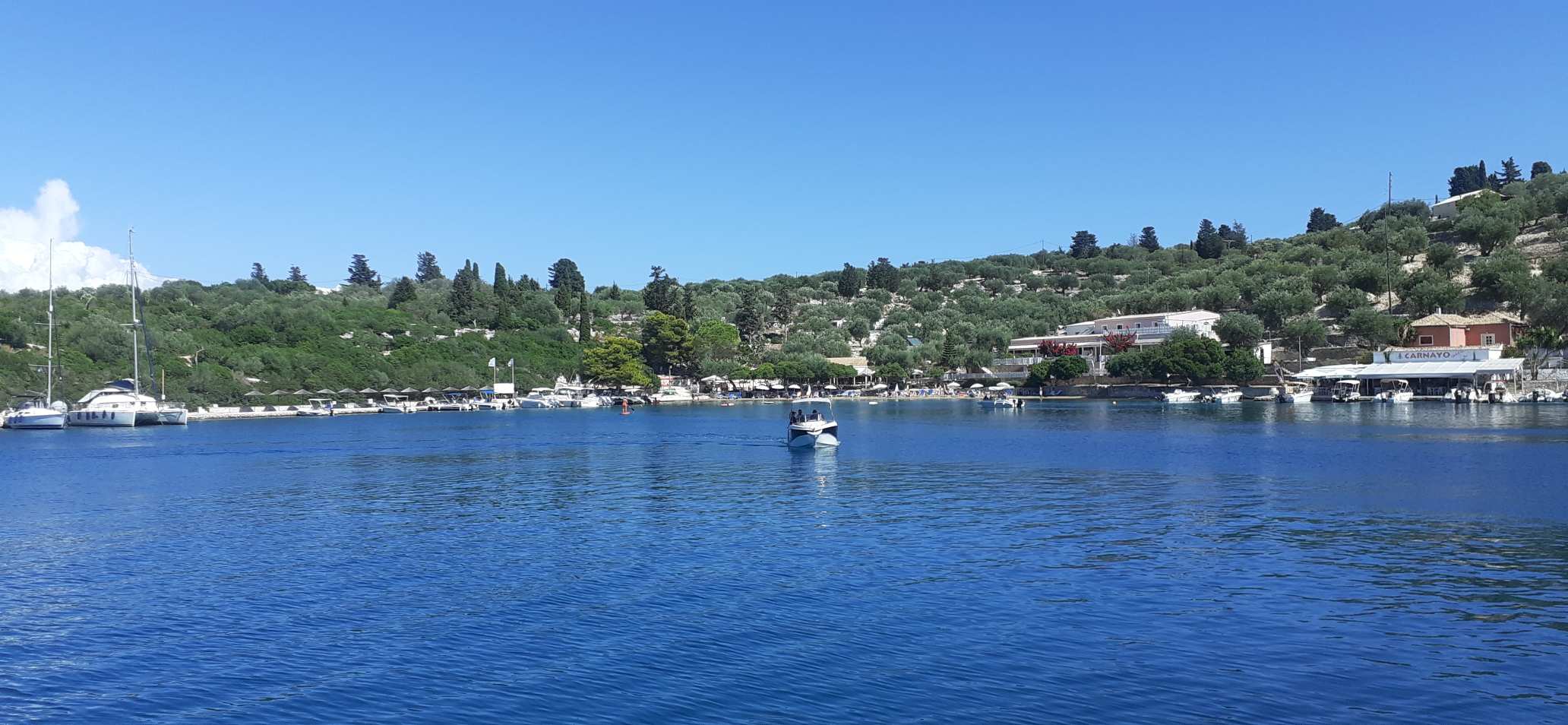 Mongonisi-Paxos