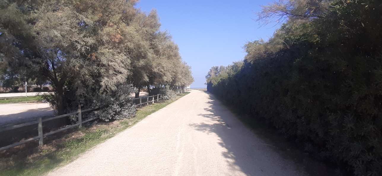 Ciclovia dei Trabocchi