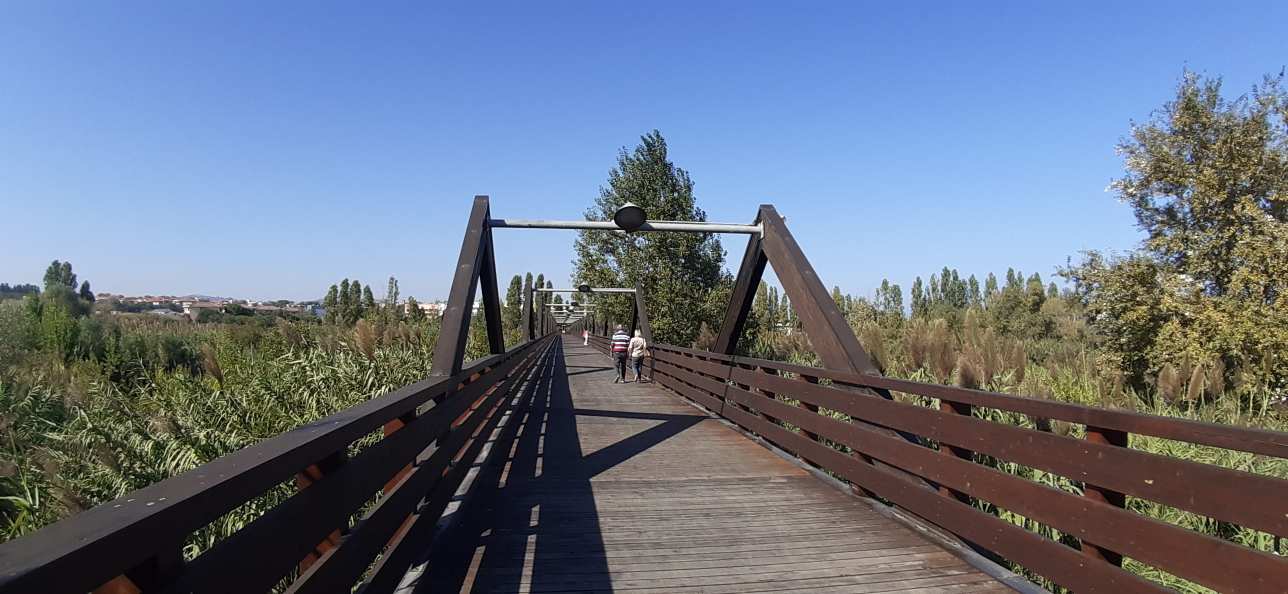 Ciclovia Adriatica