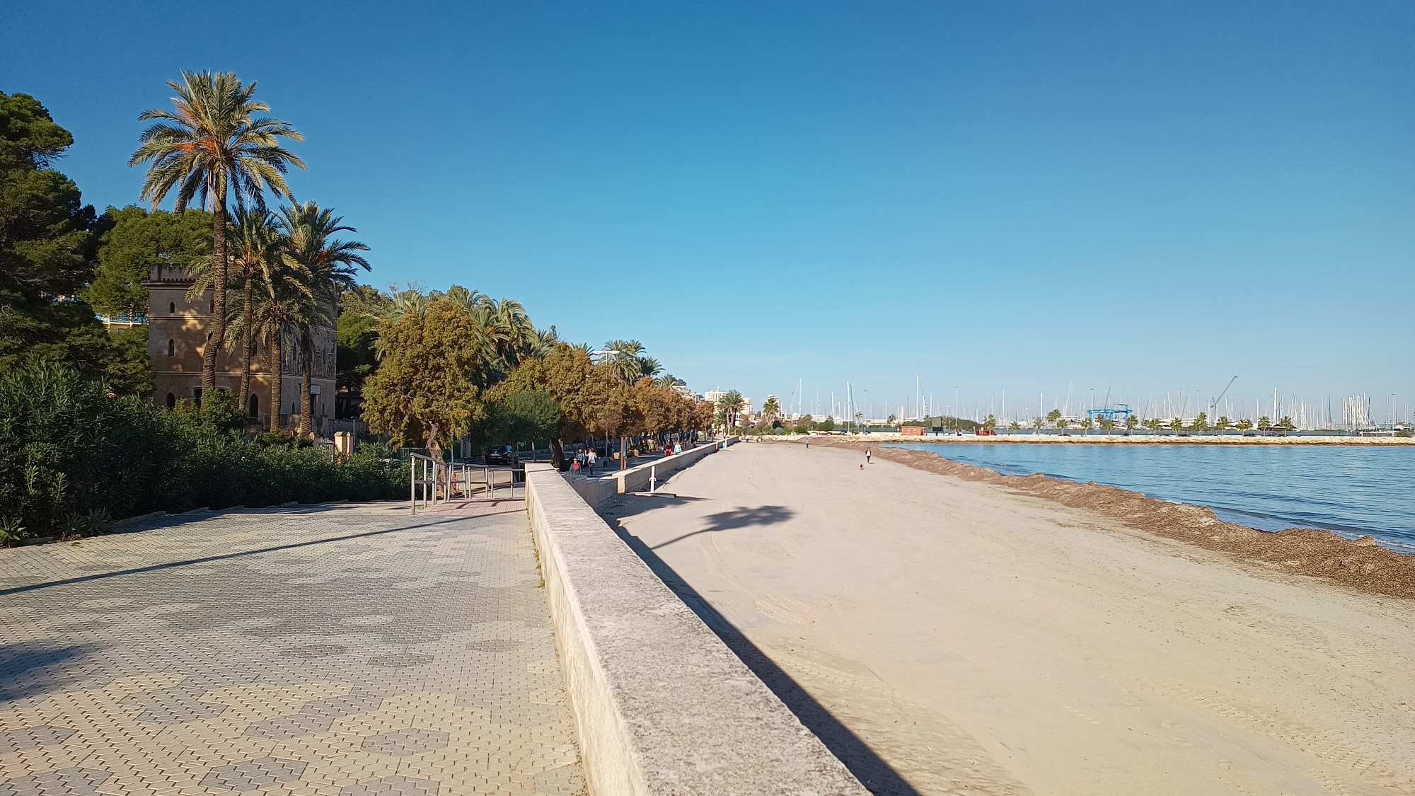 Denia