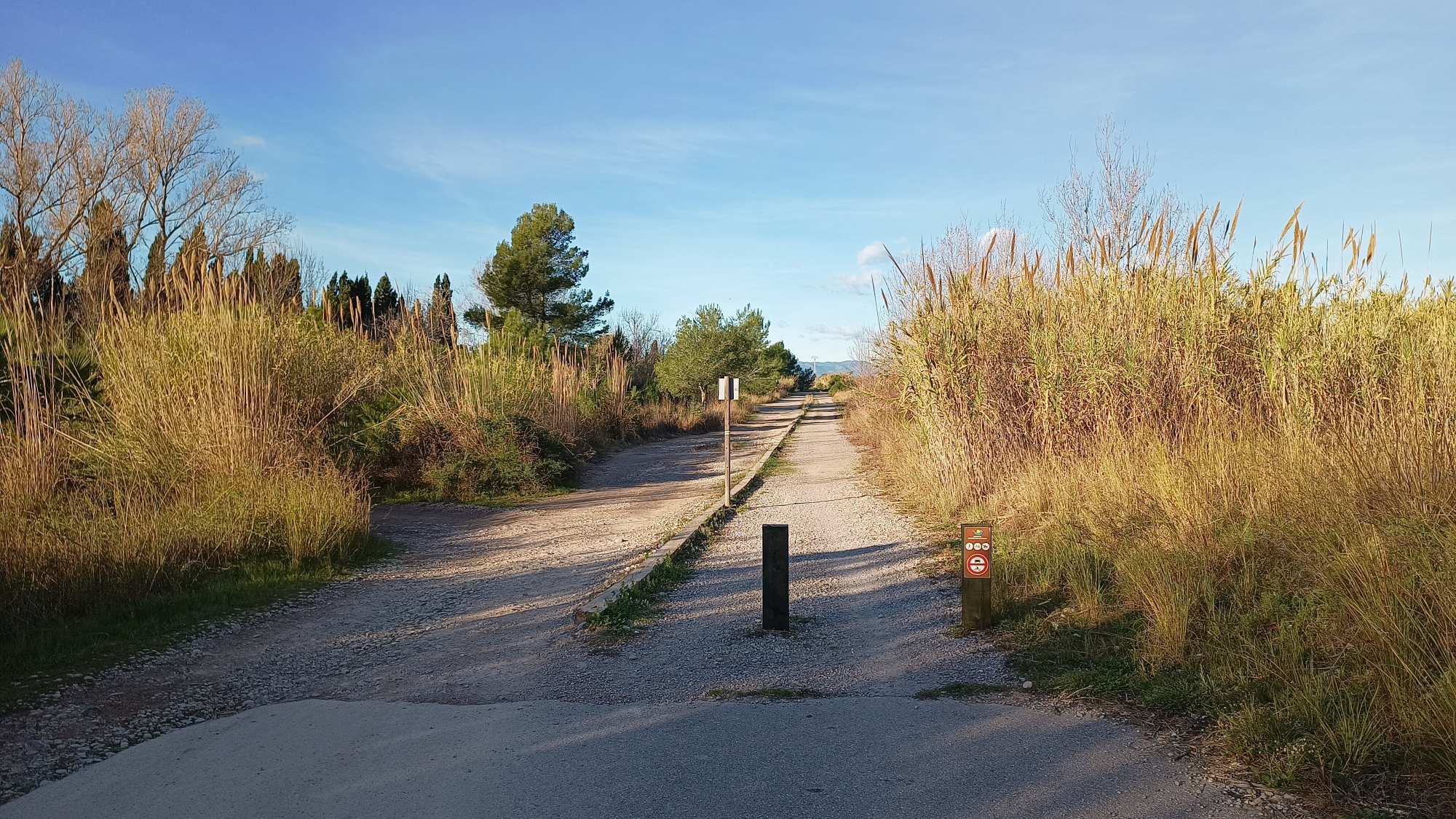 Desembocadura del Millars