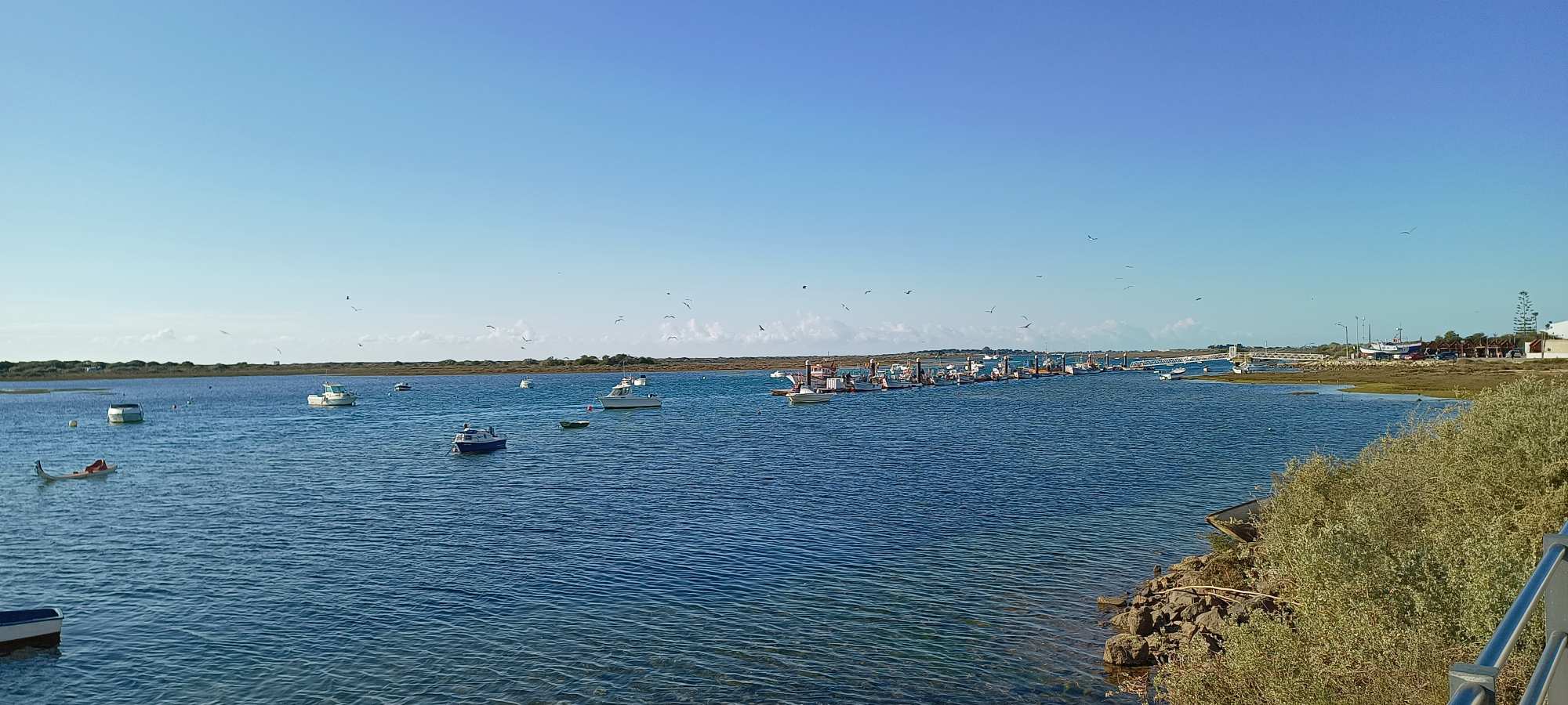 Tavira