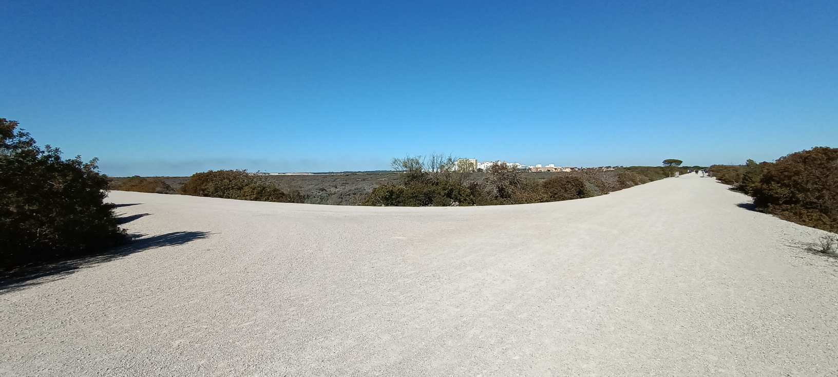 Parque Marisma de Los Torunos