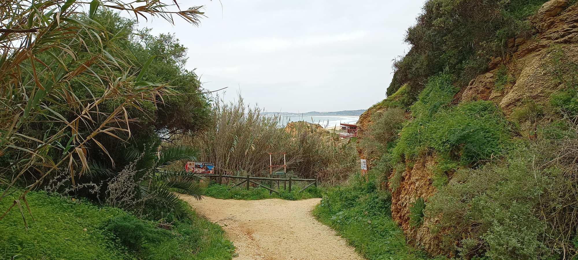 Alvor