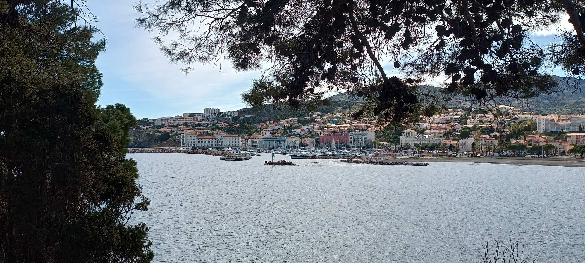 Banyuls