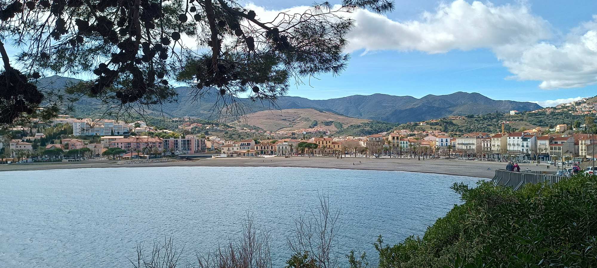 Banyuls