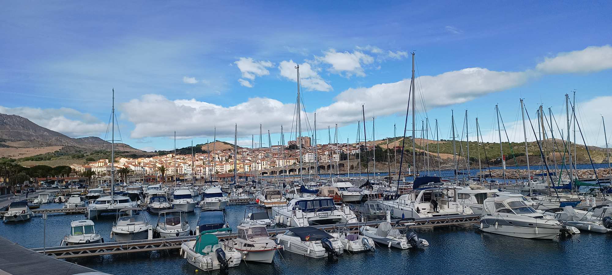 Banyuls