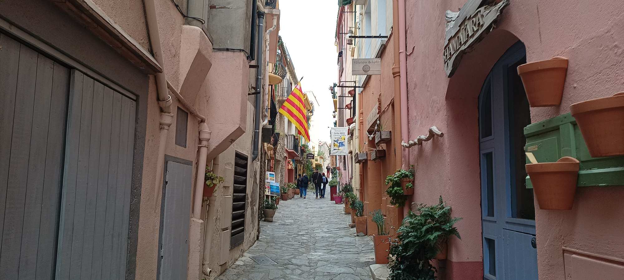 Collioure