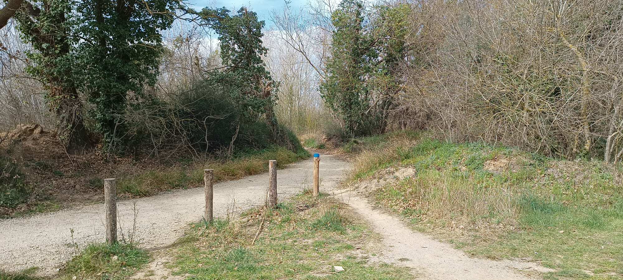 Parc Natural dels Aiguamolls de l'Empordà