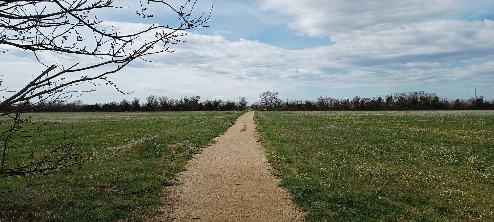 Parc Natural dels Aiguamolls de l'Empordà