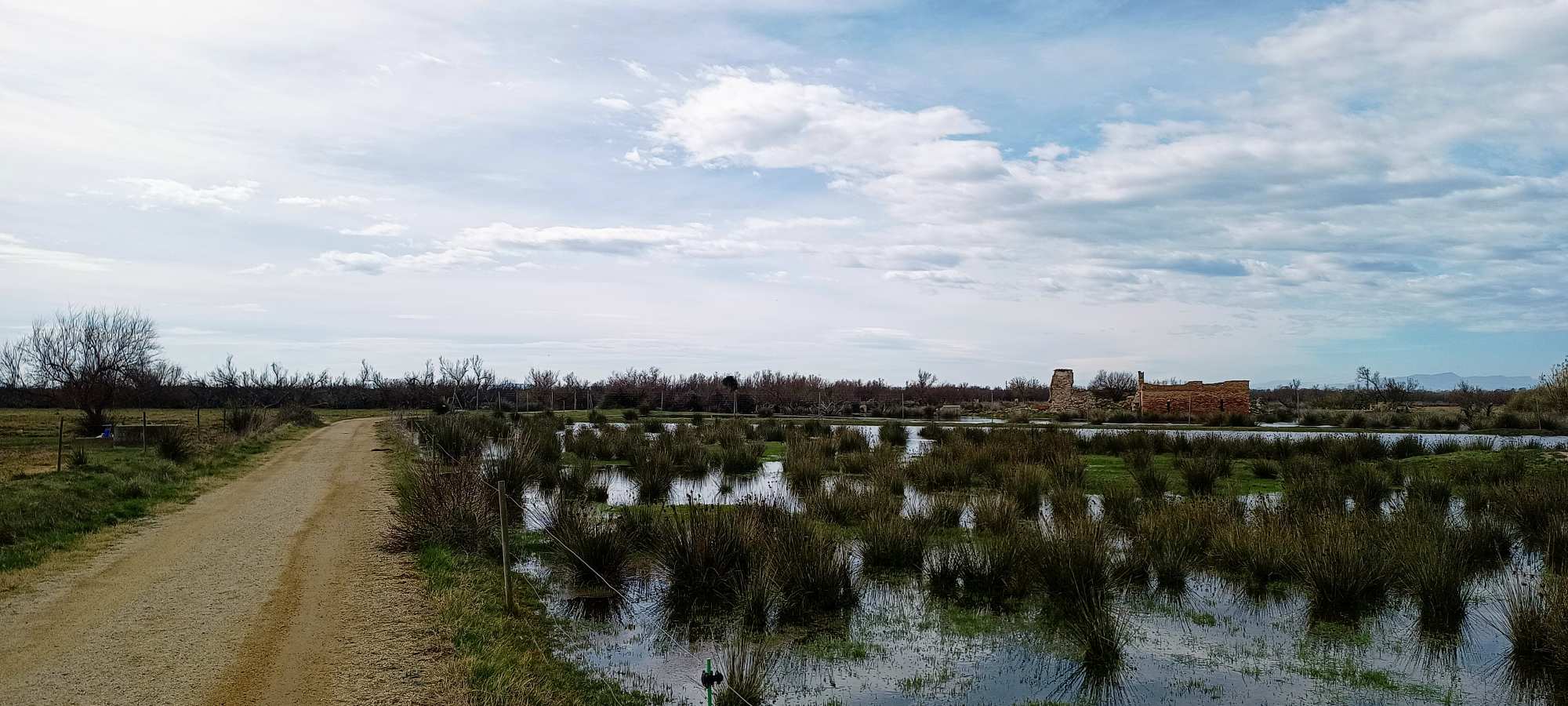 Parc Natural dels Aiguamolls de l'Empordà