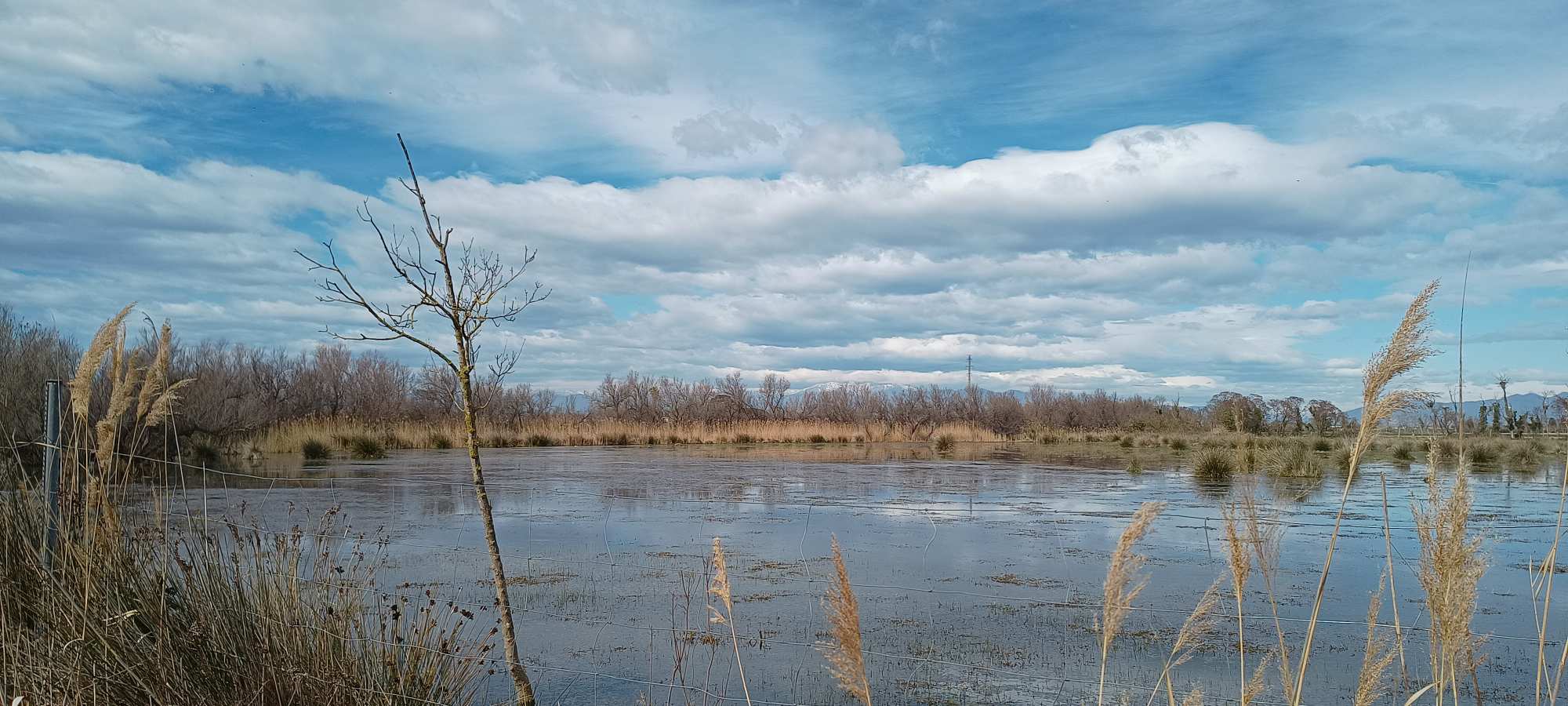 Parc Natural dels Aiguamolls de l'Empordà