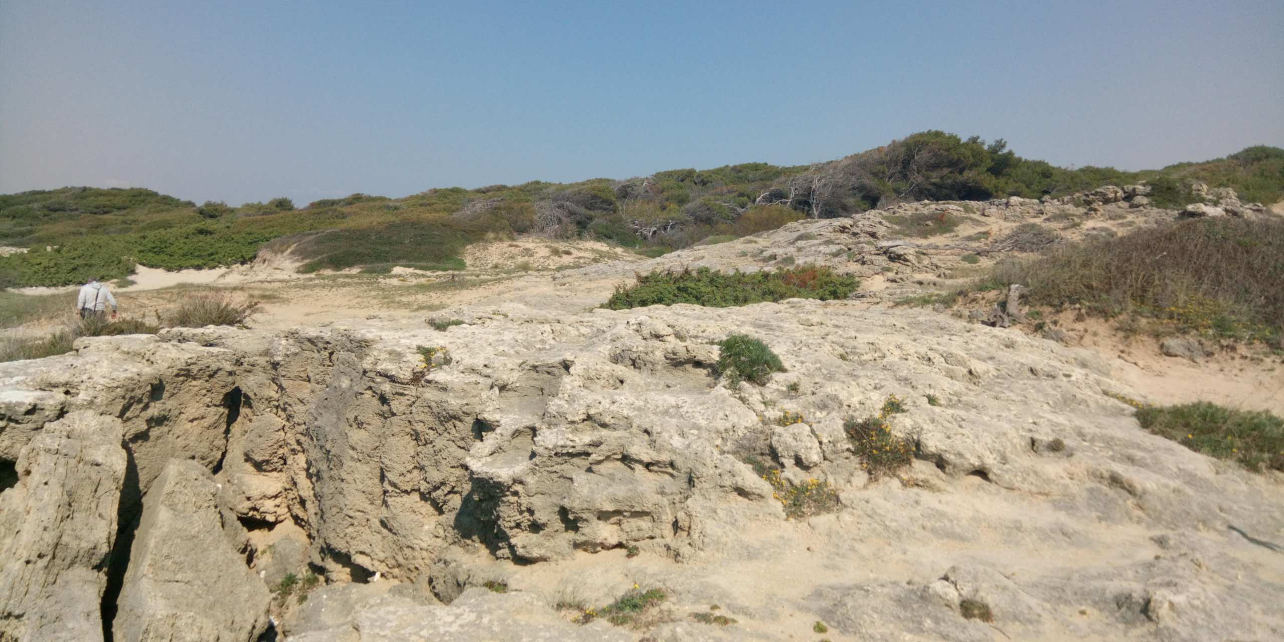 Parco naturale Isola di Sant'Andrea