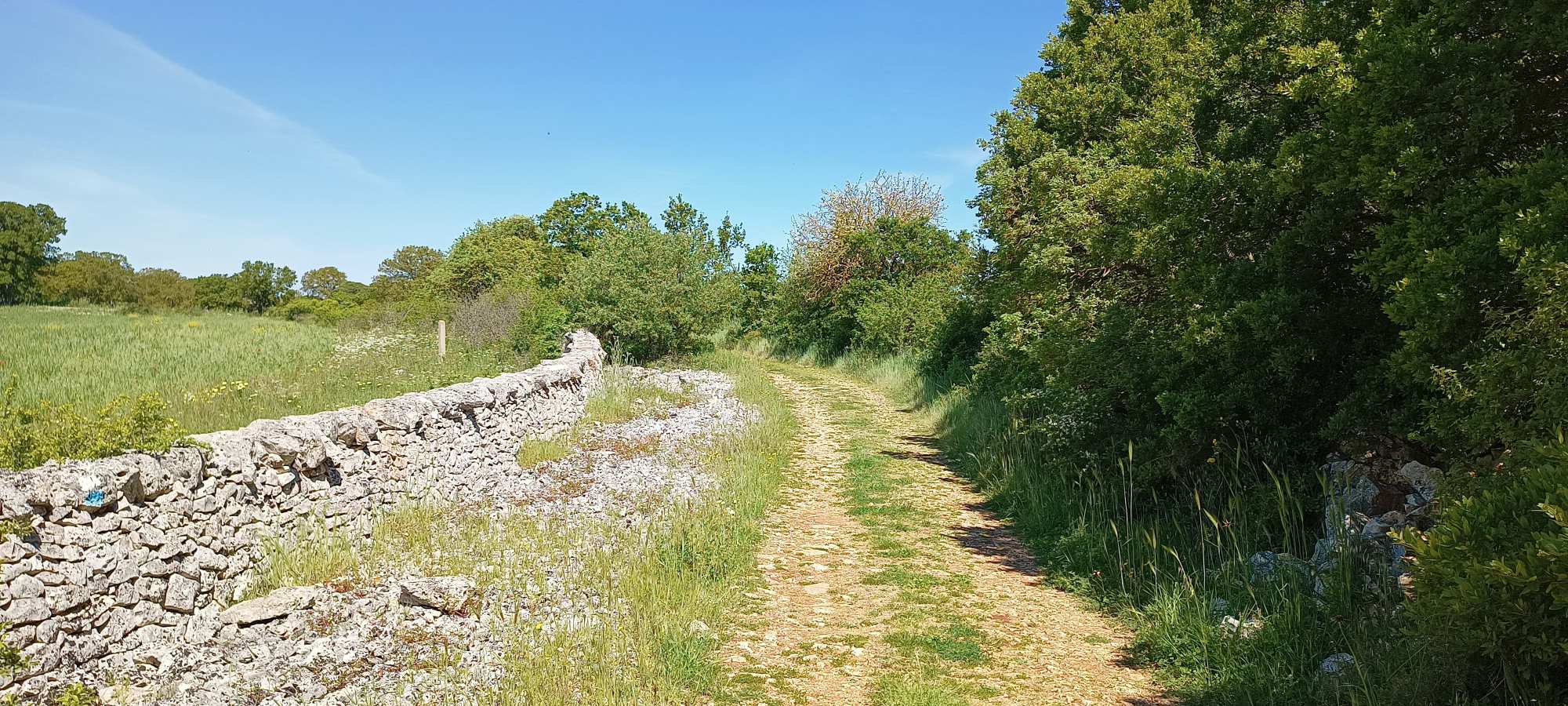 Ciclovia dell'acqua