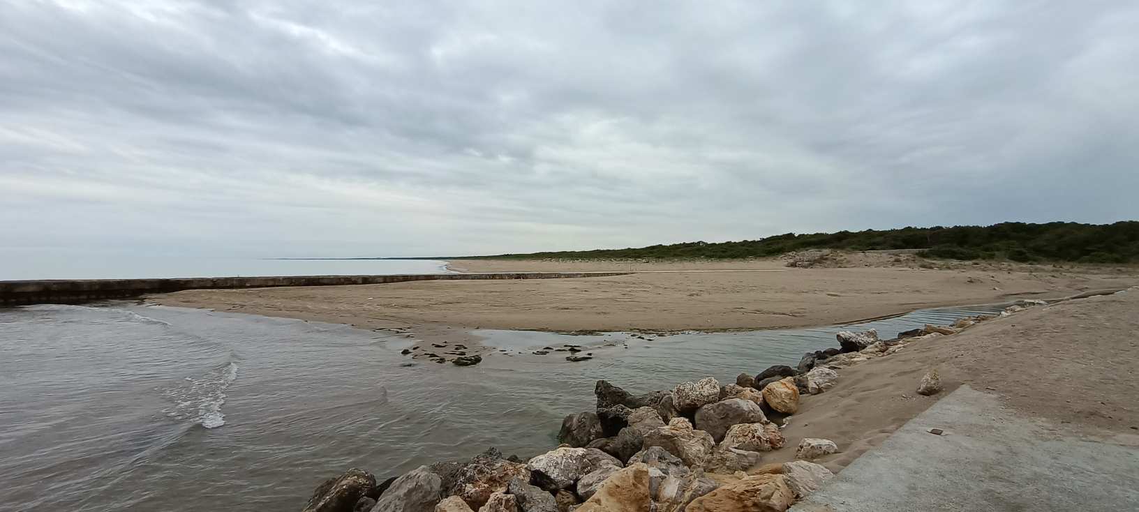 Golfo di Taranto Pino di Lenne