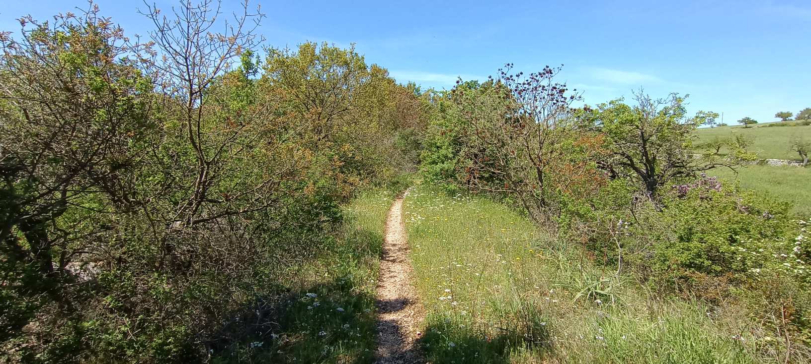 Ciclovia dell'acqua