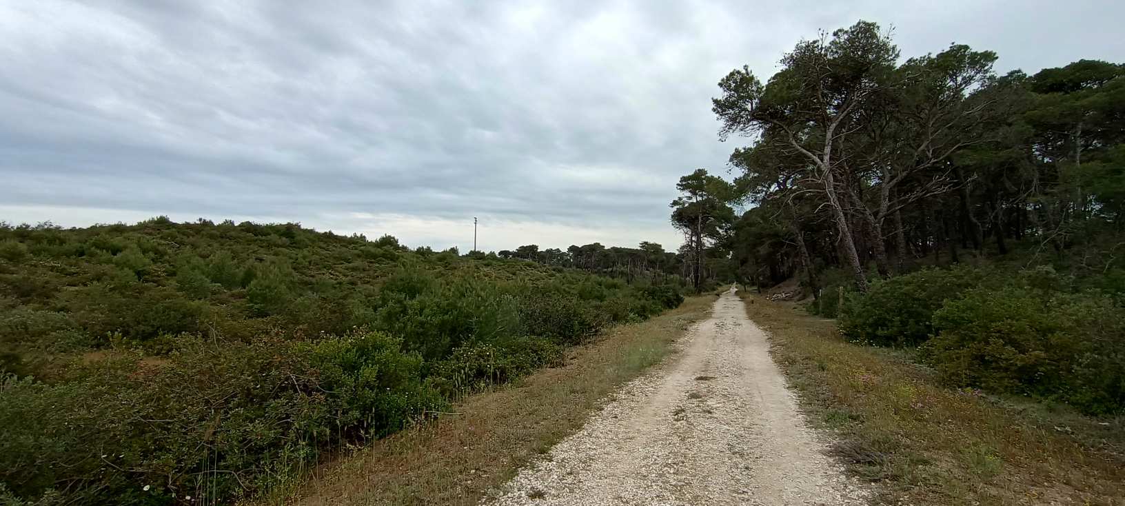 Golfo di Taranto Riserva di Stornara