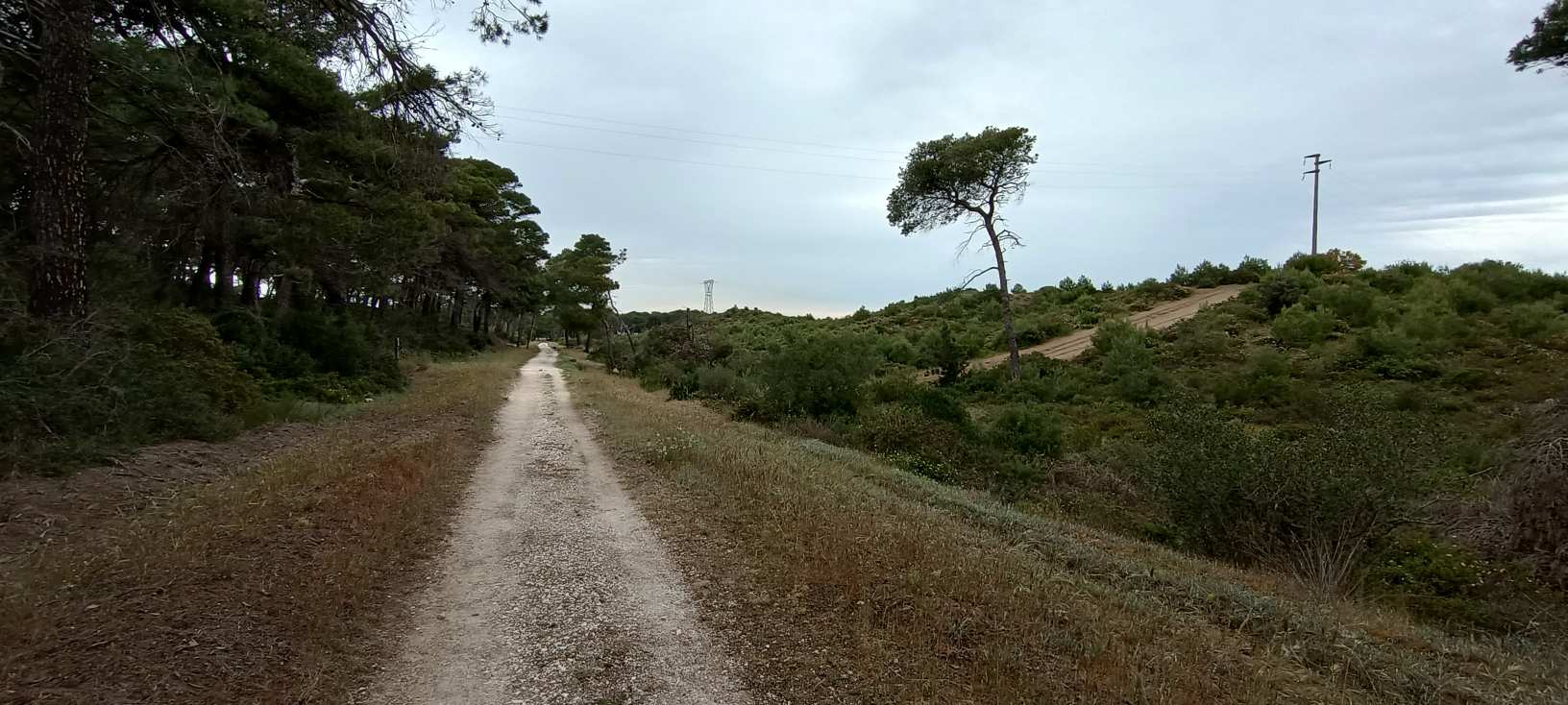 Golfo di Taranto Riserva di Stornara