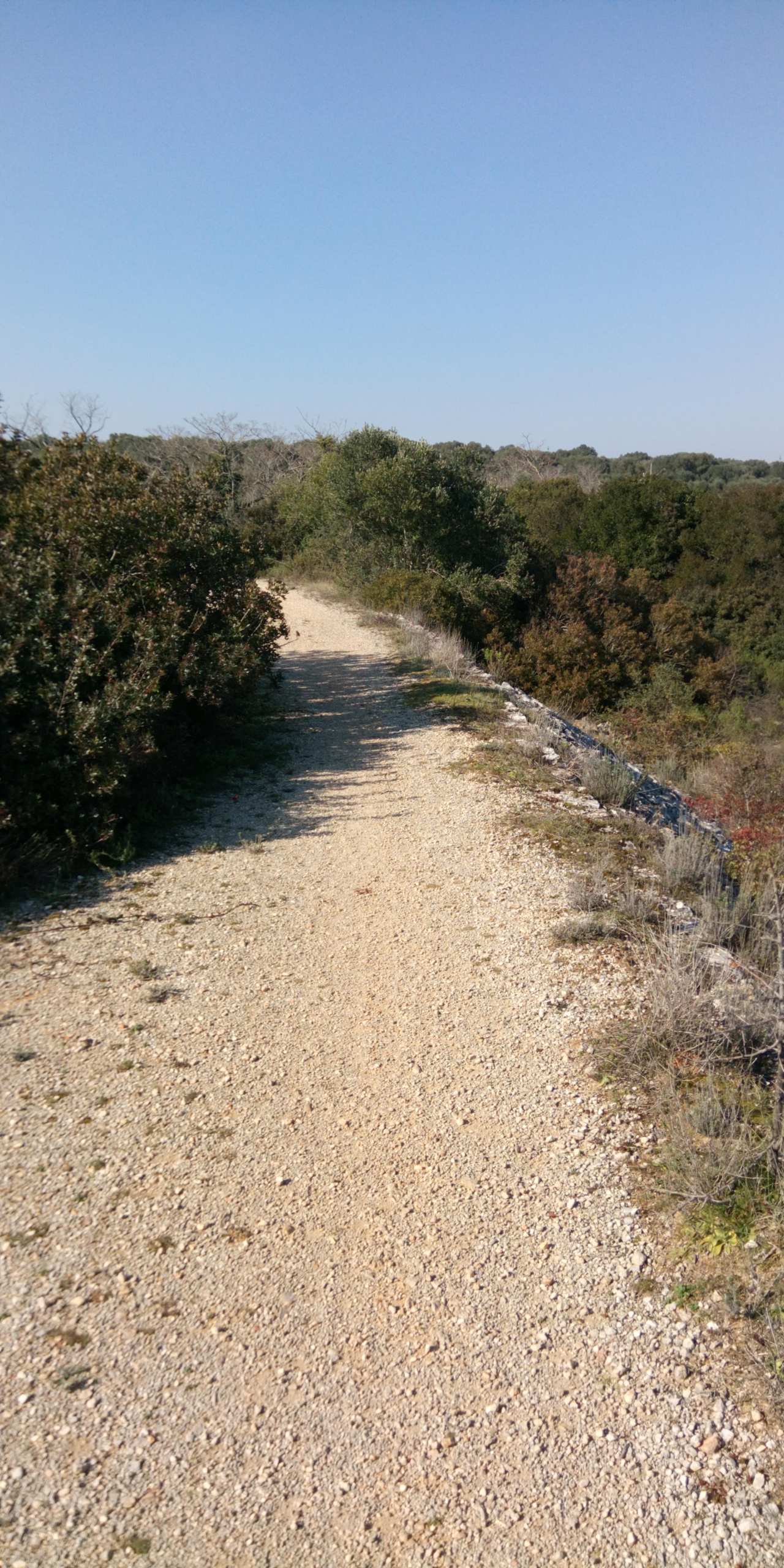 Ciclovia dell'acqua