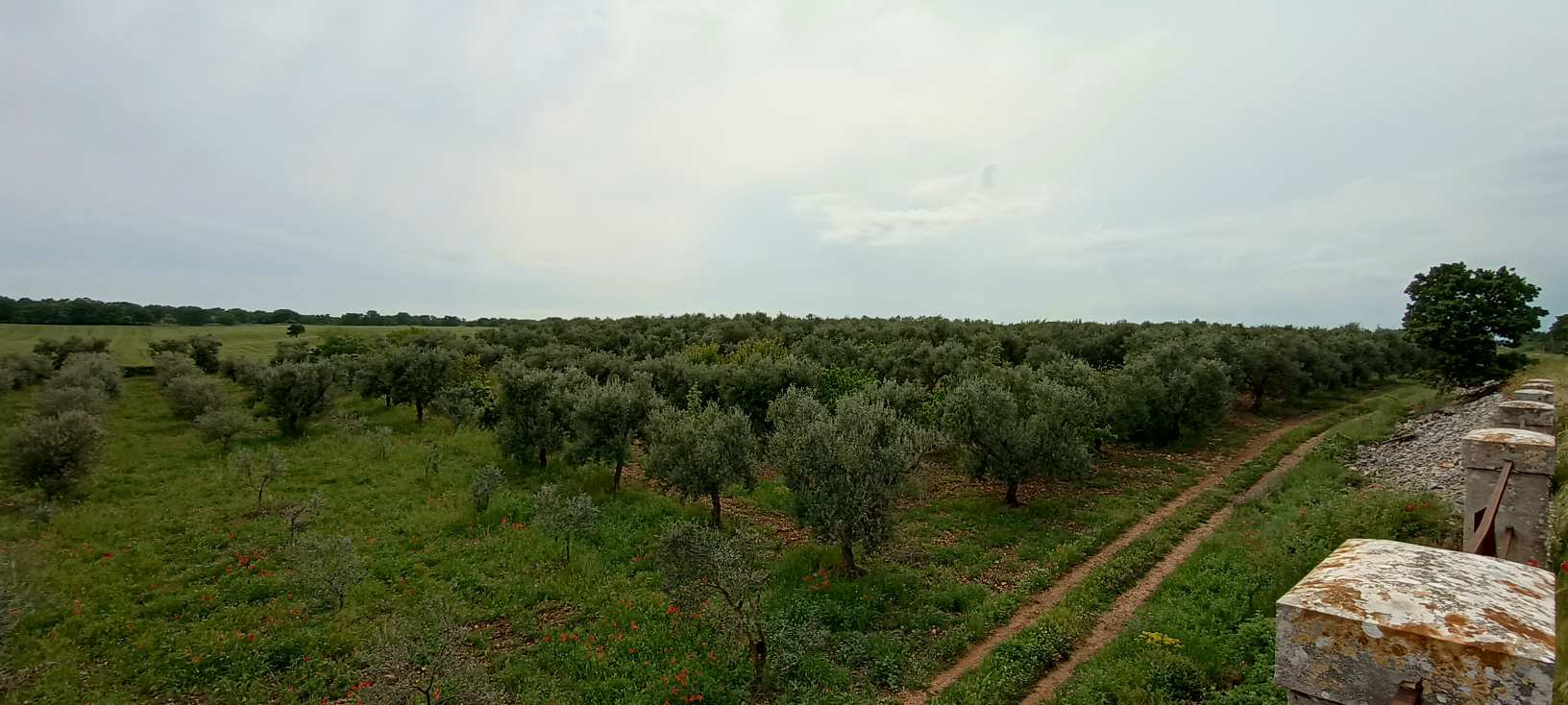 Acquaviva delle fonti