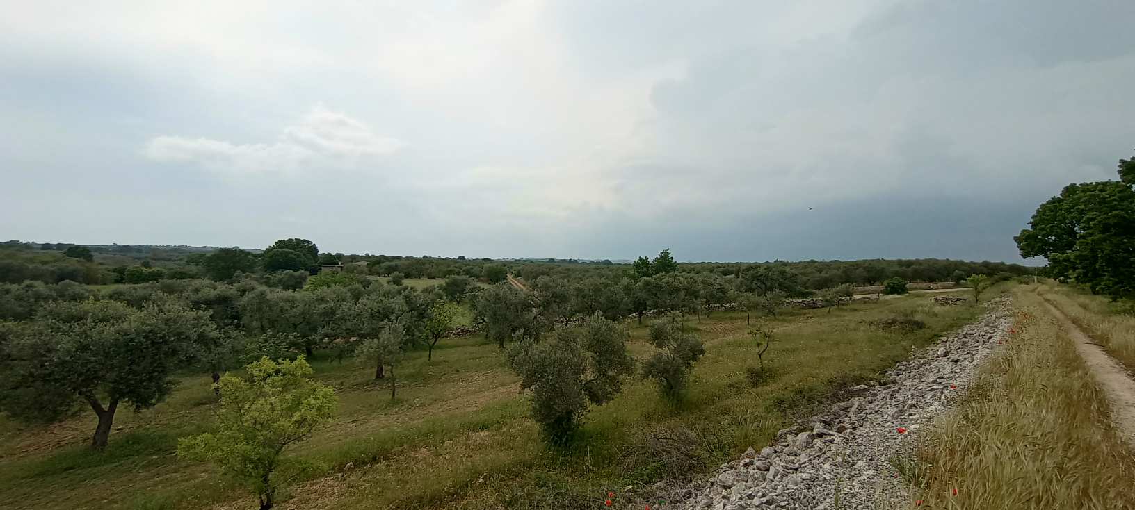 Acquaviva delle fonti