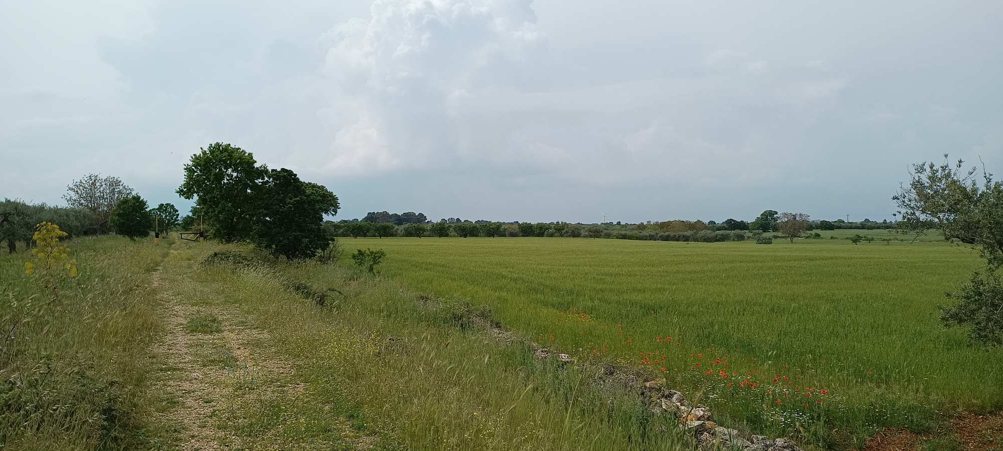 Acquaviva delle fonti