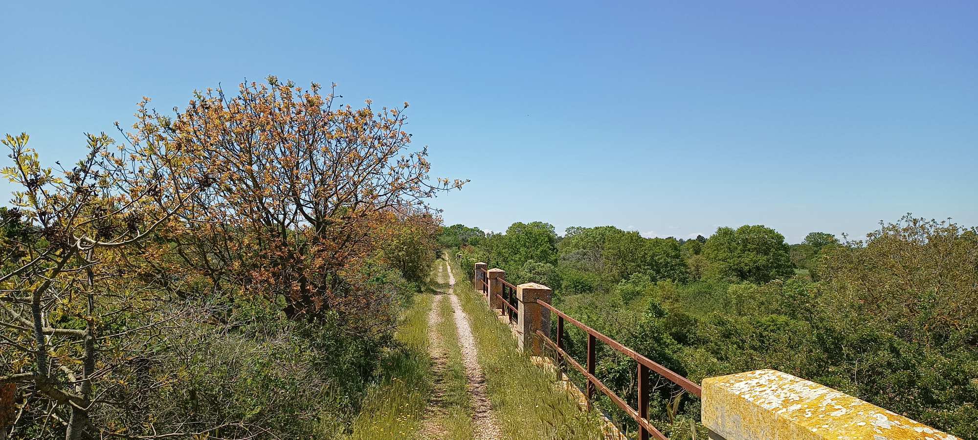 Ciclovia dell'acqua-Gioia del Colle