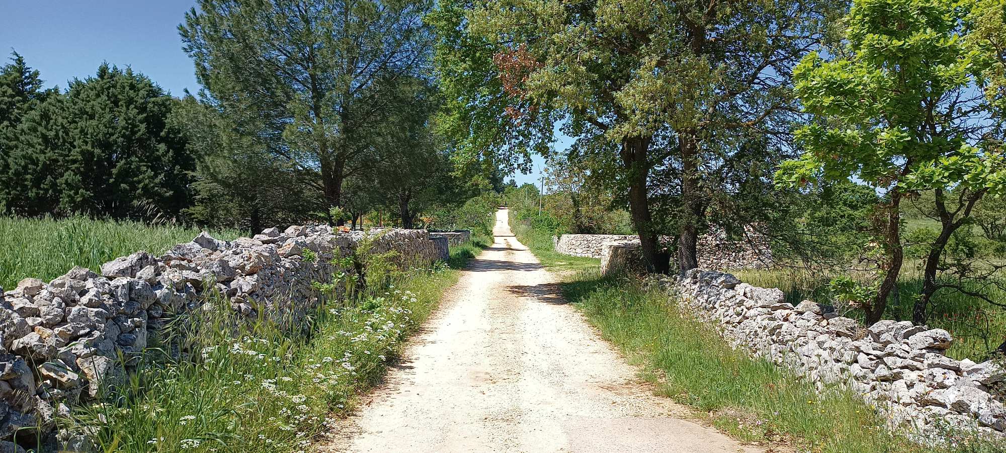 Ciclovia dell'acqua-Gioia del Colle