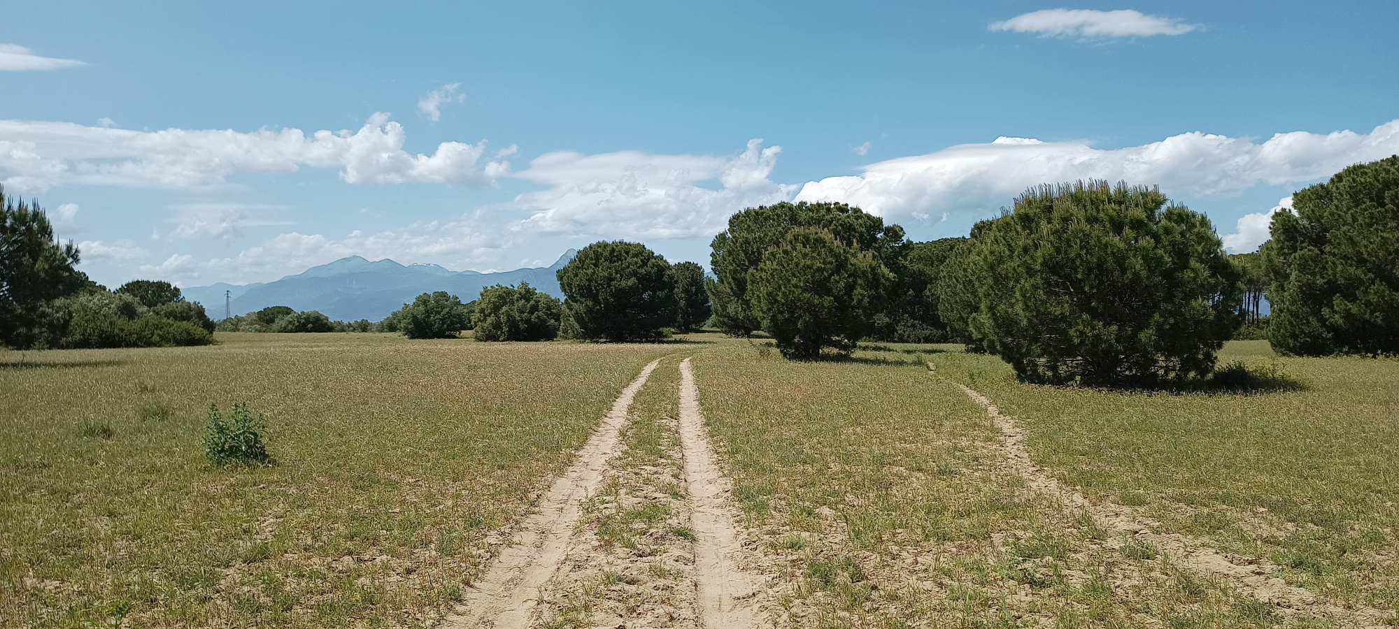 Laghi di Sibari