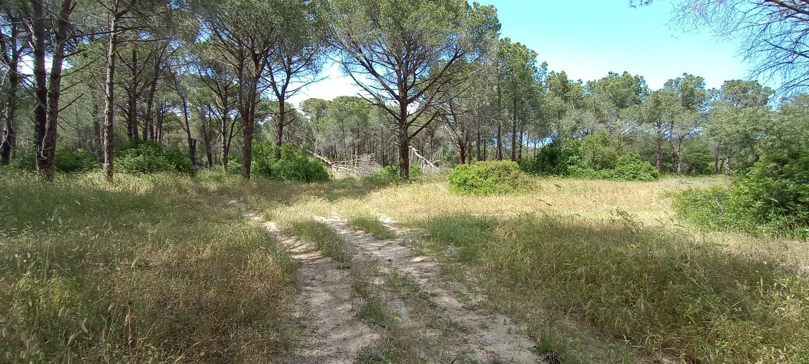 Laghi di Sibari
