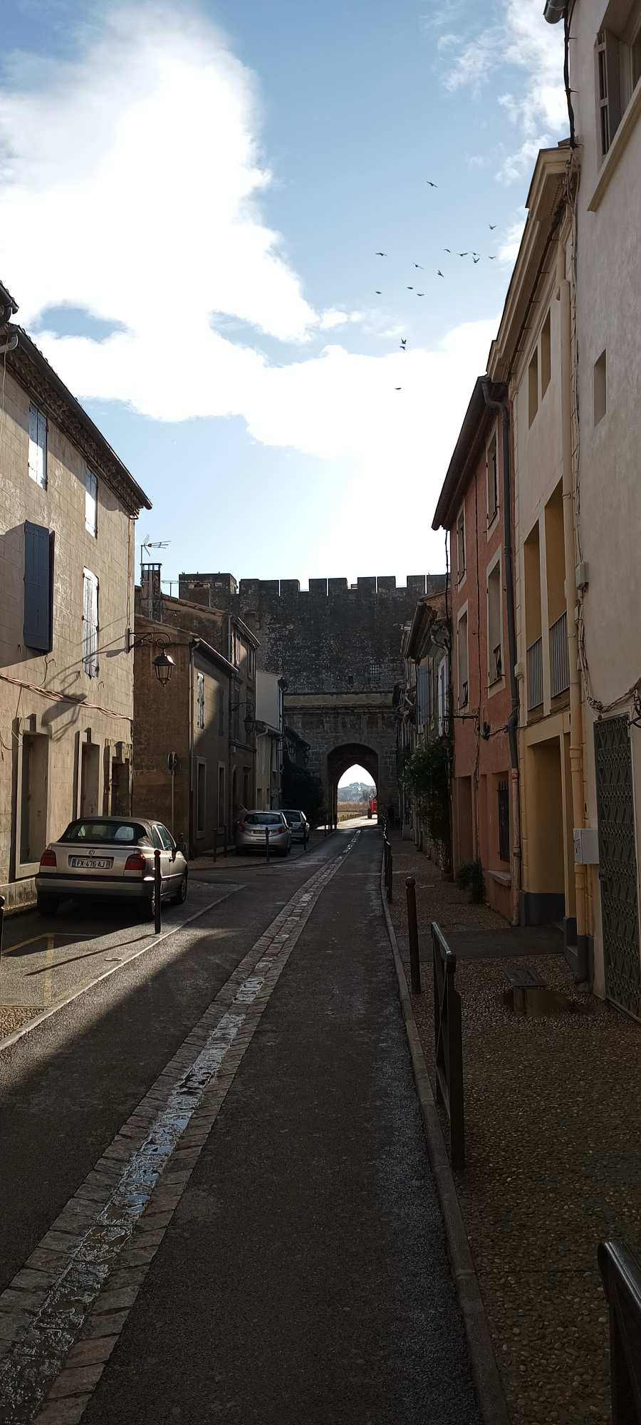 Camargue-Aigues Mortes