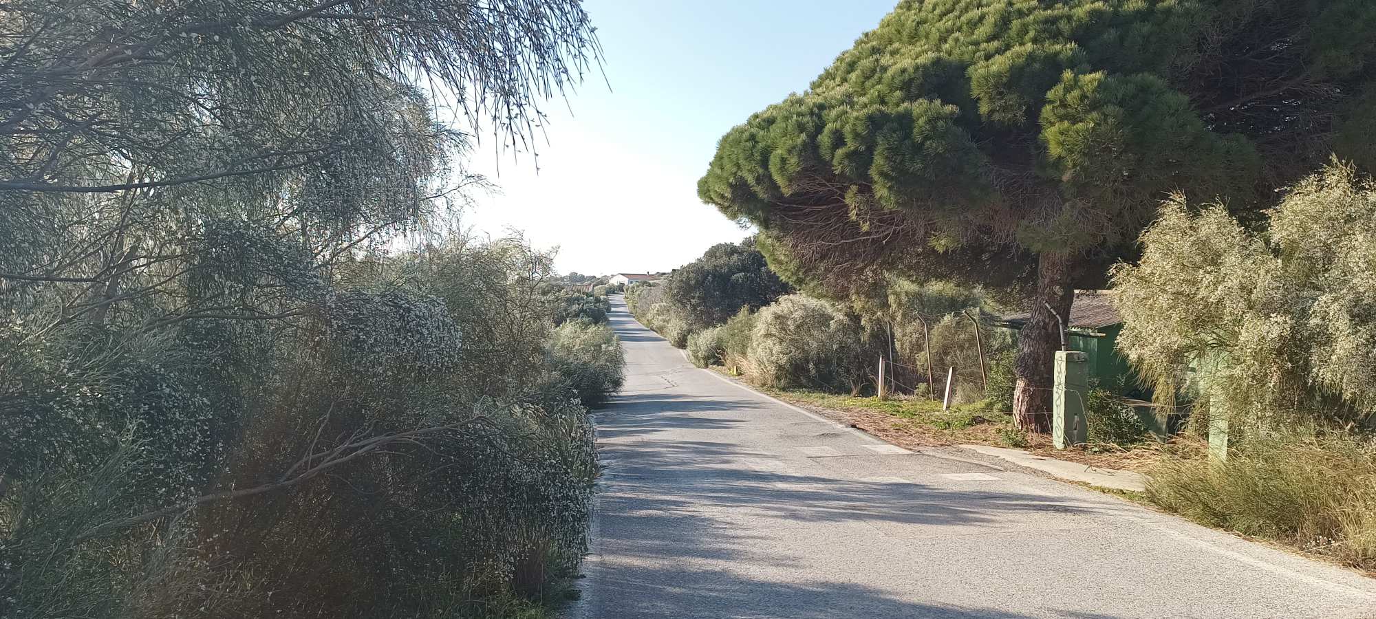 Tarifa-Bolonia