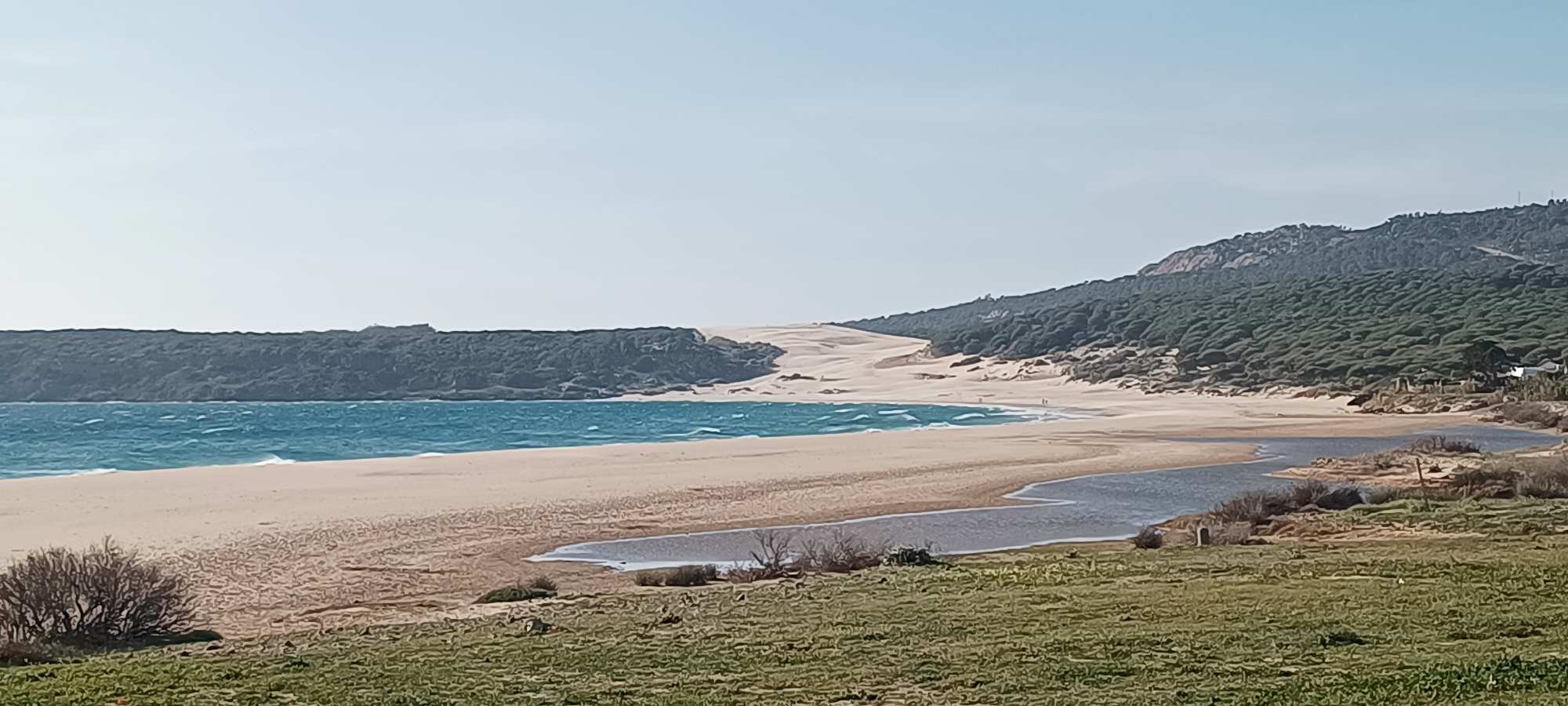 Tarifa-Bolonia