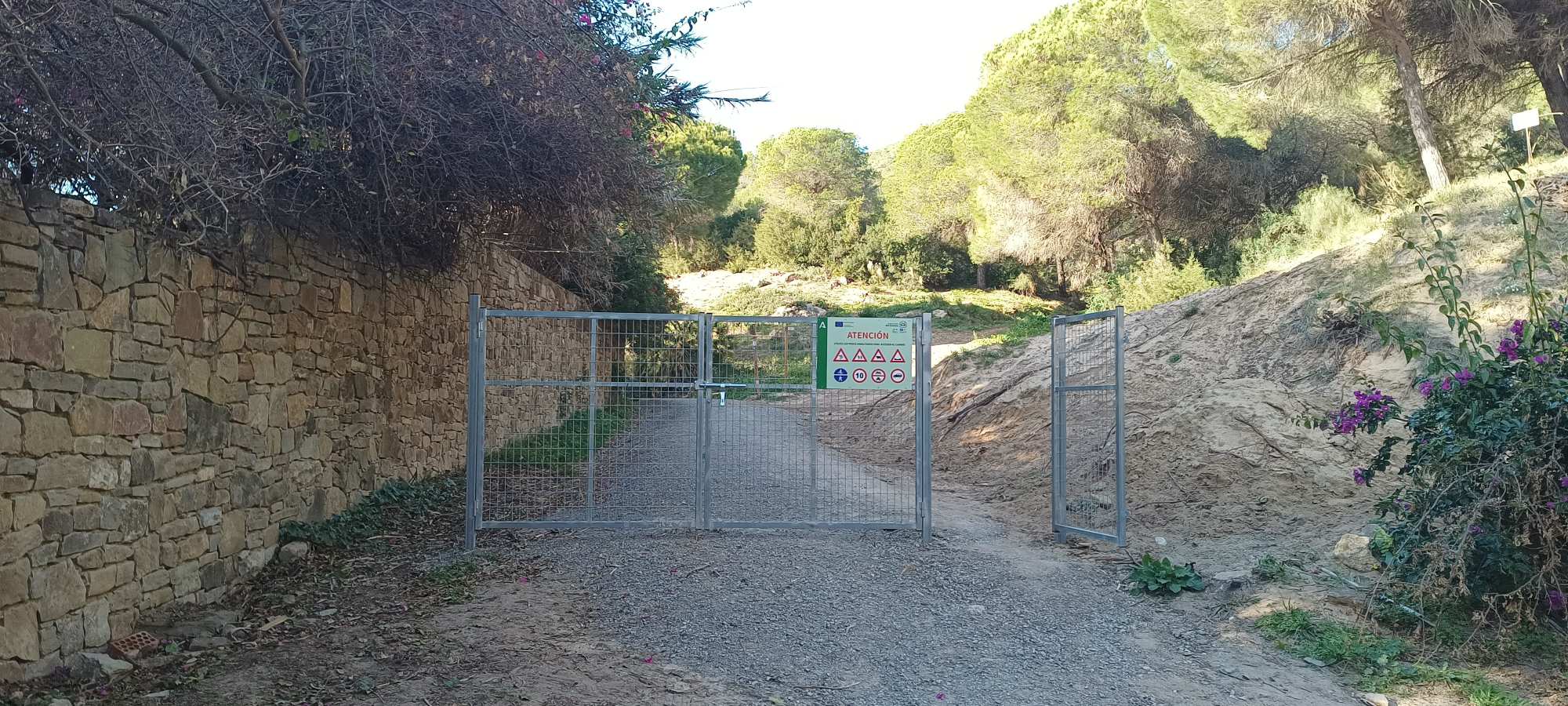 Tarifa-Bolonia