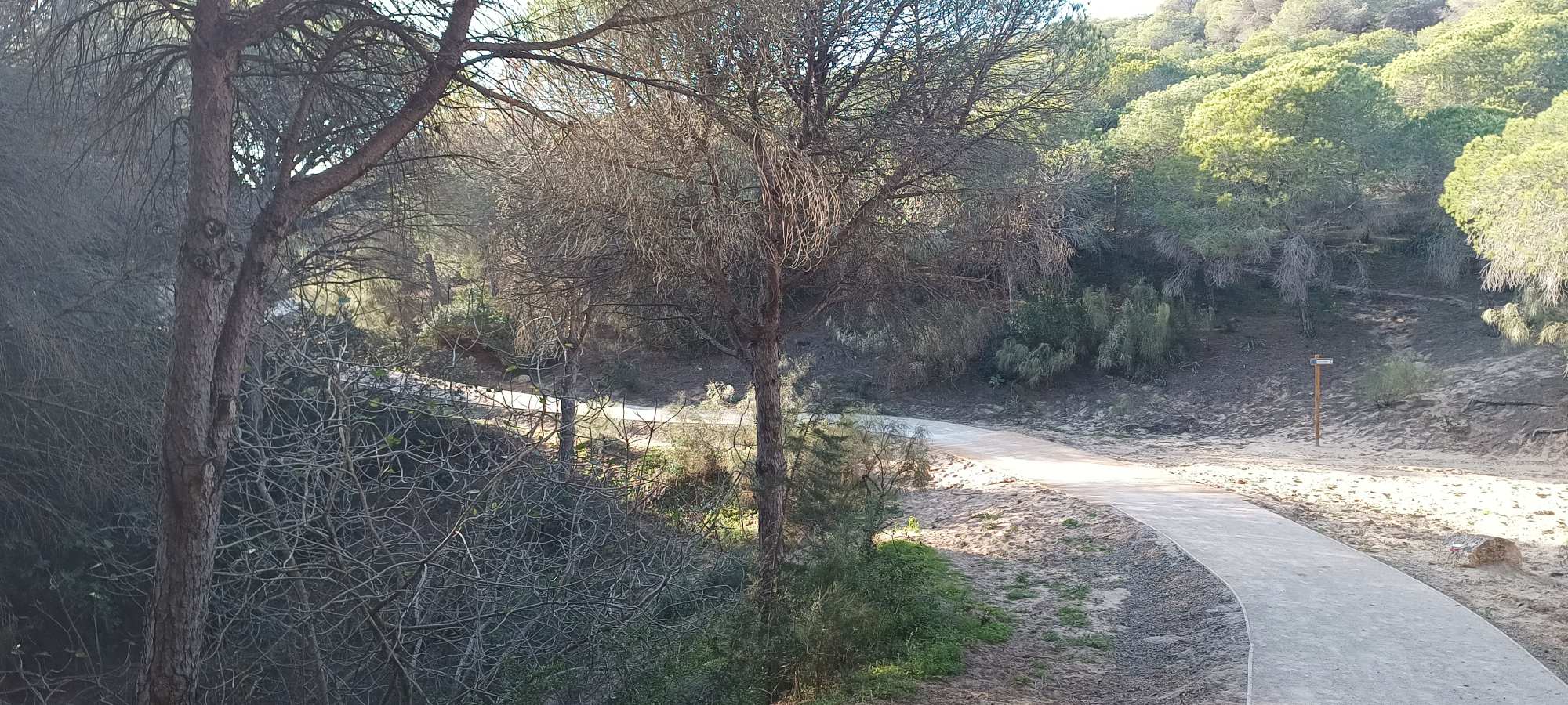 Tarifa-Bolonia